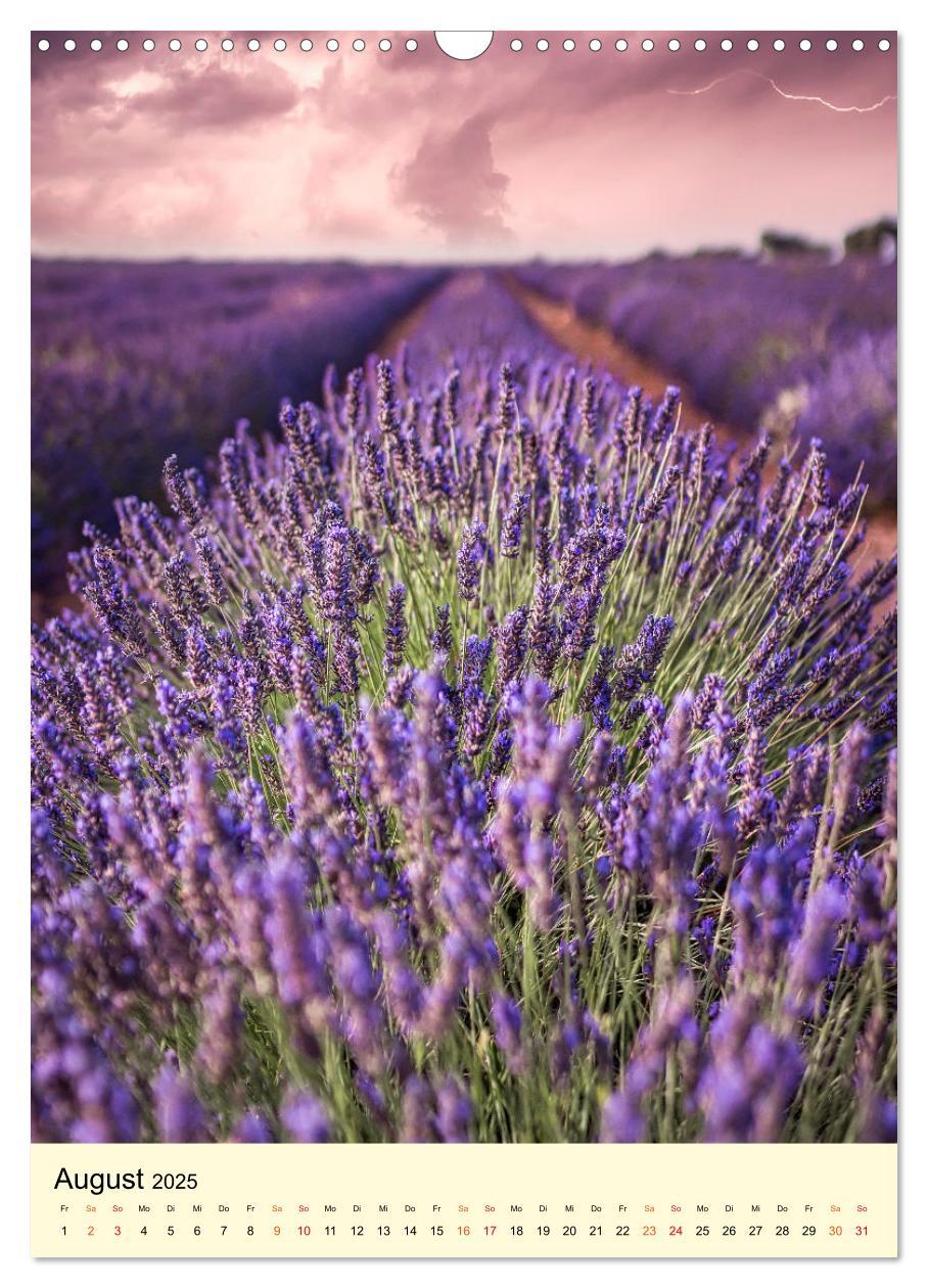 Bild: 9783435901814 | Provence Lavendel Paradies (Wandkalender 2025 DIN A3 hoch),...