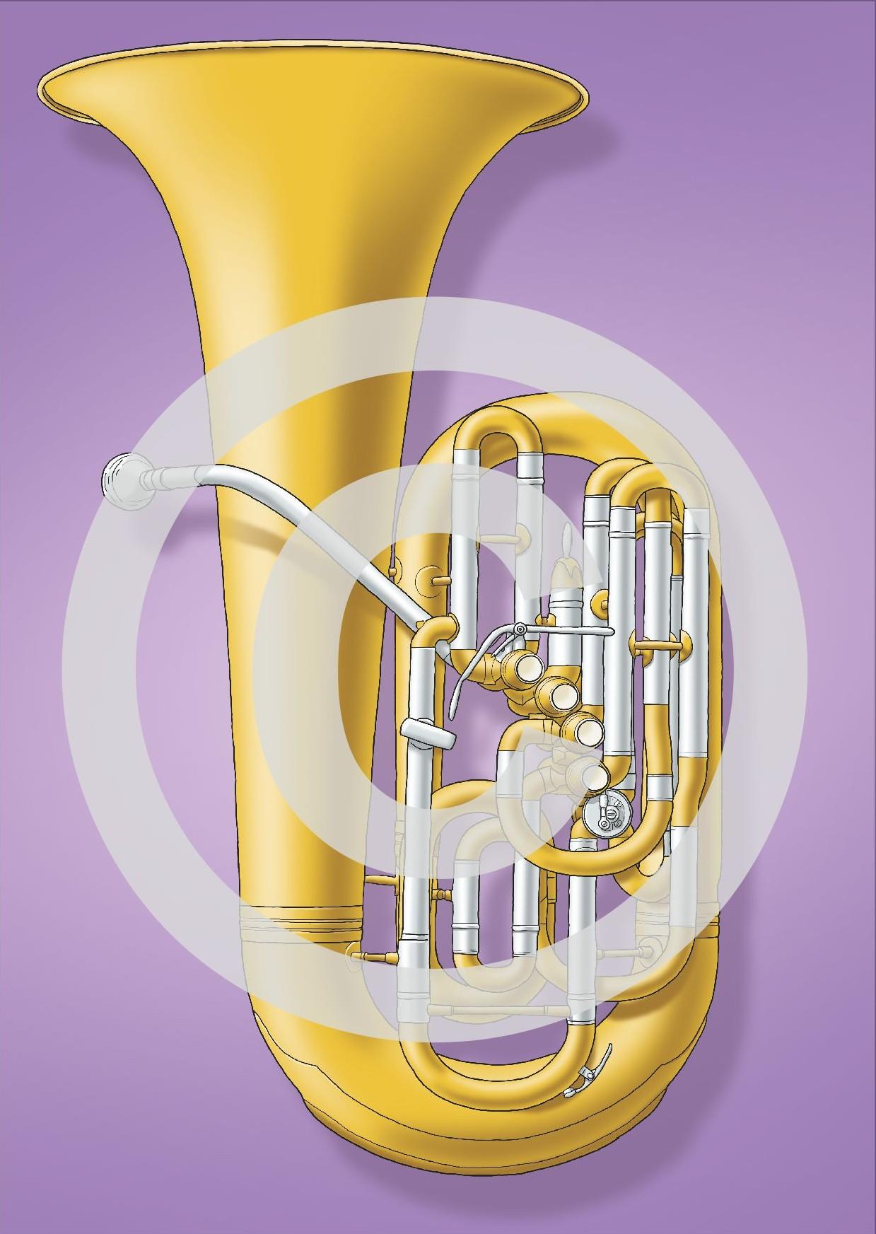 Bild: 9783940533753 | Musikinstrumente auf Karten | Martin Leuchtner (u. a.) | Taschenbuch