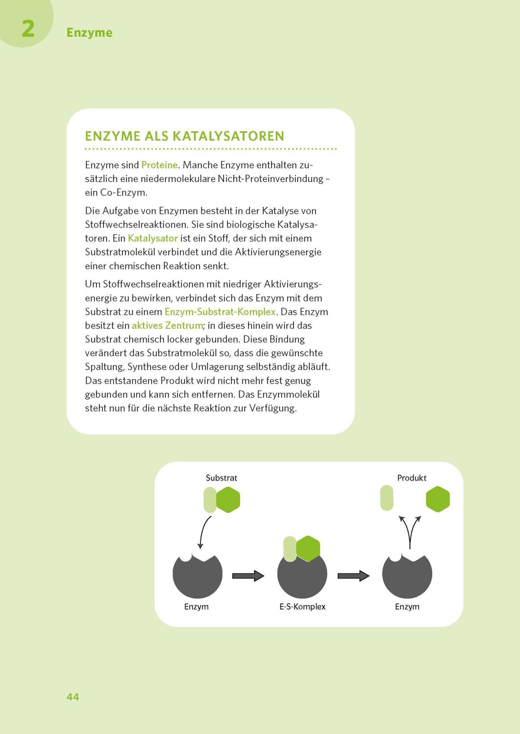 Bild: 9783125625990 | PONS Abi-Check XXL Biologie | Taschenbuch | PONS Abi-Check | 320 S.