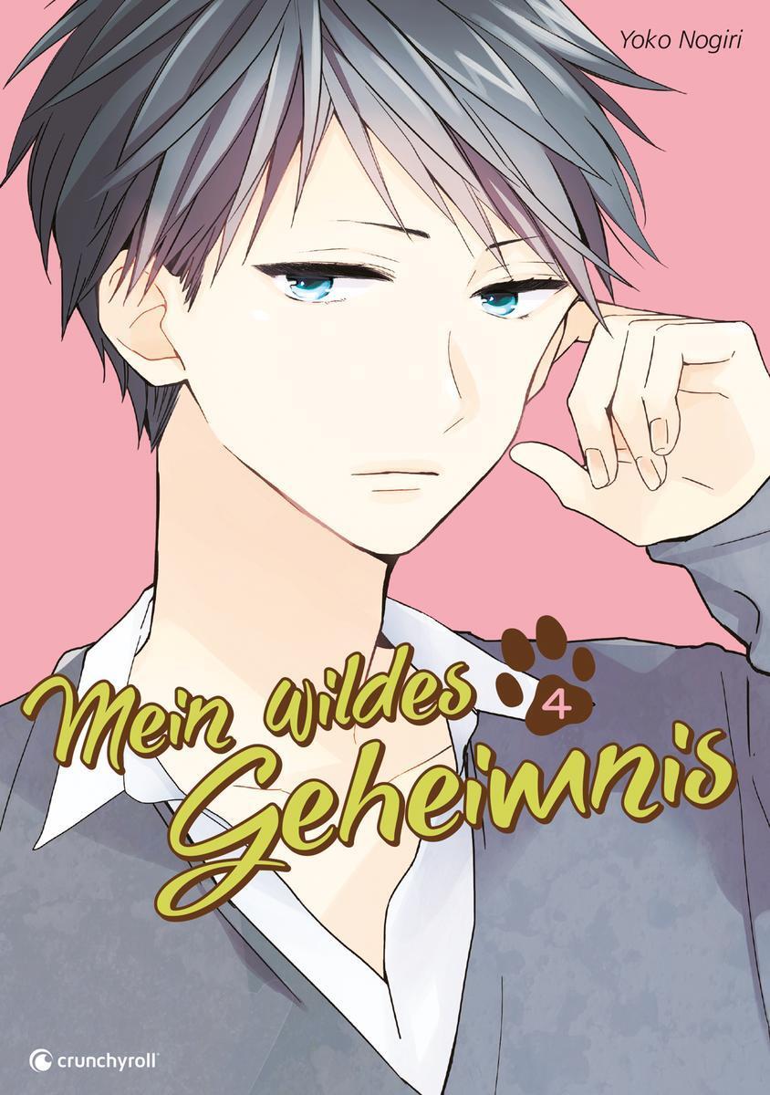 Cover: 9782889212040 | Mein wildes Geheimnis 04 | Yoko Nogiri | Taschenbuch | 178 S. | 2018