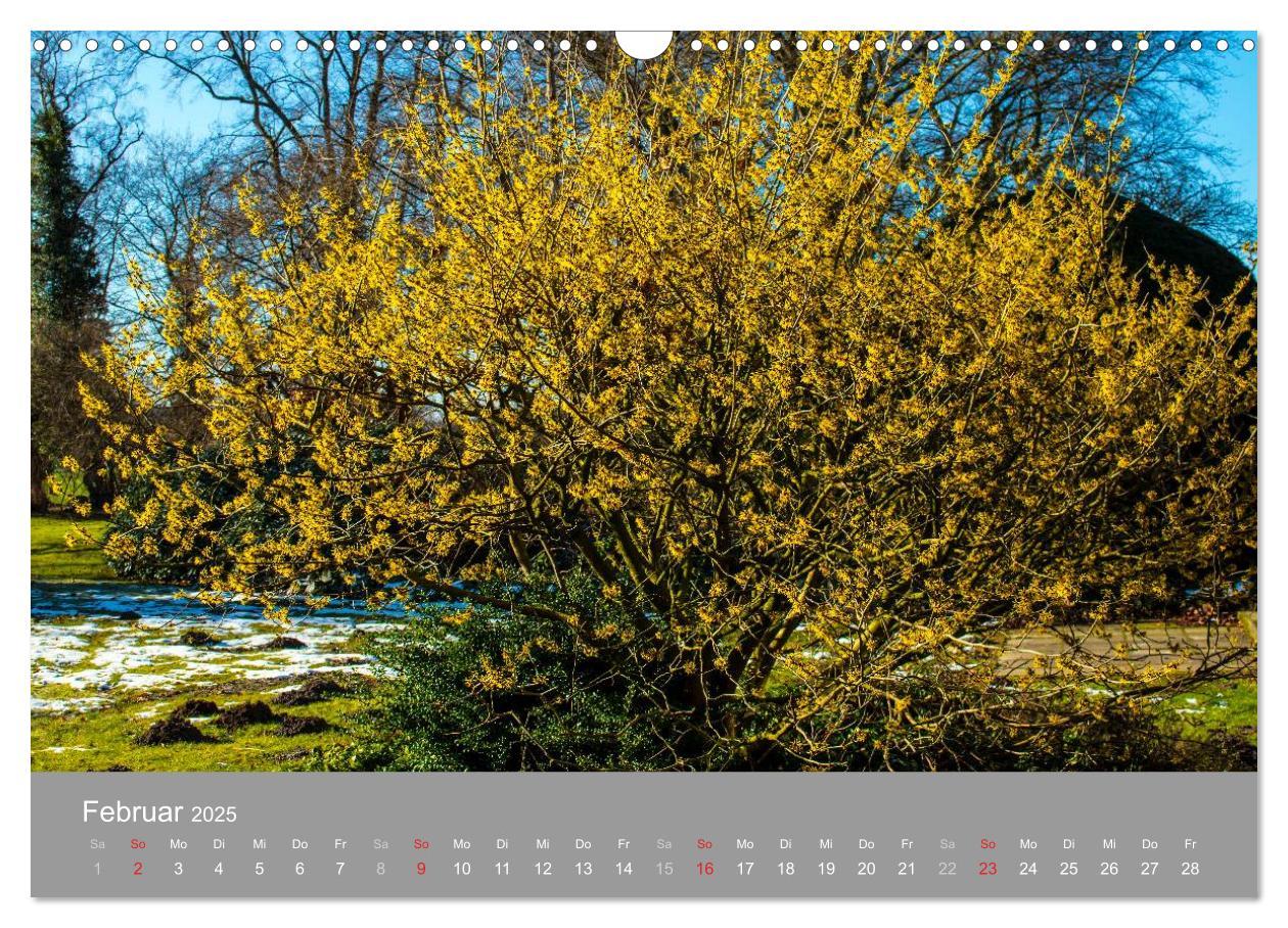 Bild: 9783435609215 | Romantische Garten-Paradiese (Wandkalender 2025 DIN A3 quer),...