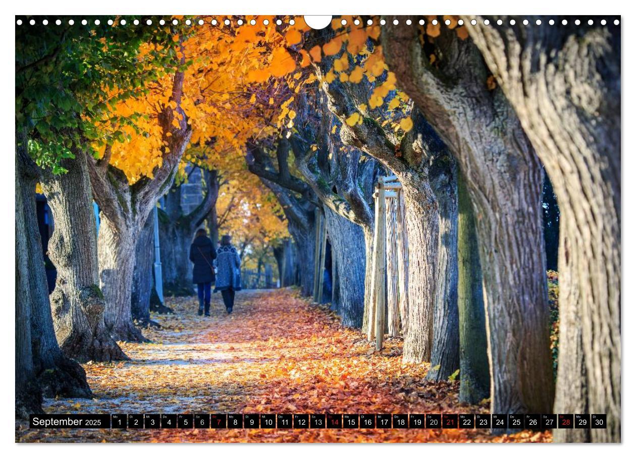 Bild: 9783435575282 | Bamberg - das fränkische Rom (Wandkalender 2025 DIN A3 quer),...