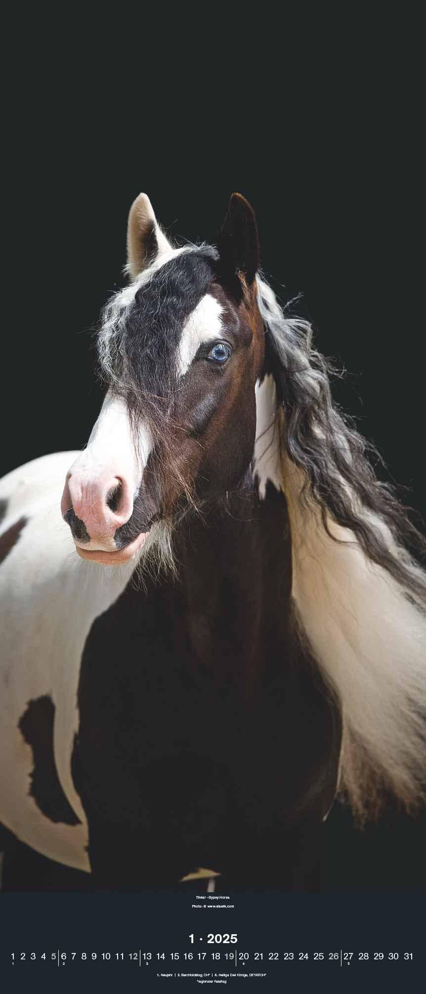 Bild: 4002725994202 | Beautiful Horses 2025 - Foto-Kalender - Wand-Kalender - 30x70 | 28 S.