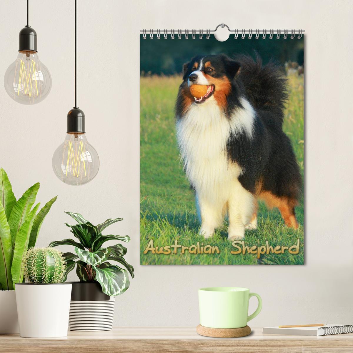 Bild: 9783457080658 | Australian Shepherd (Wandkalender 2025 DIN A4 hoch), CALVENDO...