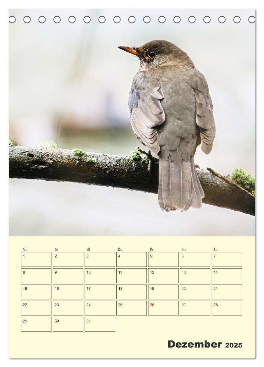 Bild: 9783435910656 | Vogelwelt an der Sieg (Tischkalender 2025 DIN A5 hoch), CALVENDO...