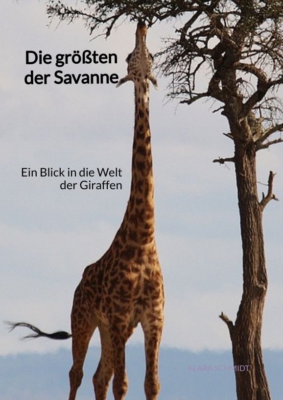 Cover: 9783347890459 | Die größten der Savanne | Ein Blick in die Welt der Giraffen | Schmidt