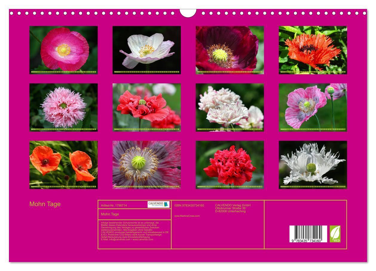 Bild: 9783435734160 | Mohn Tage (Wandkalender 2025 DIN A3 quer), CALVENDO Monatskalender