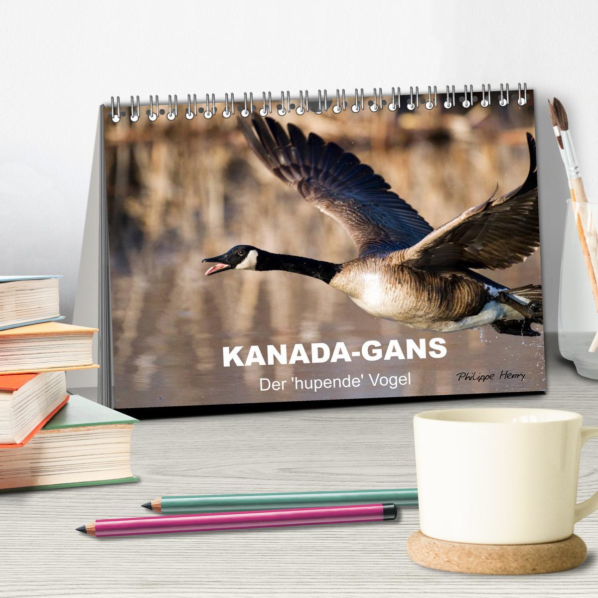 Bild: 9783435732234 | KANADA-GANS - Der 'hupende' Vogel (Tischkalender 2025 DIN A5 quer),...