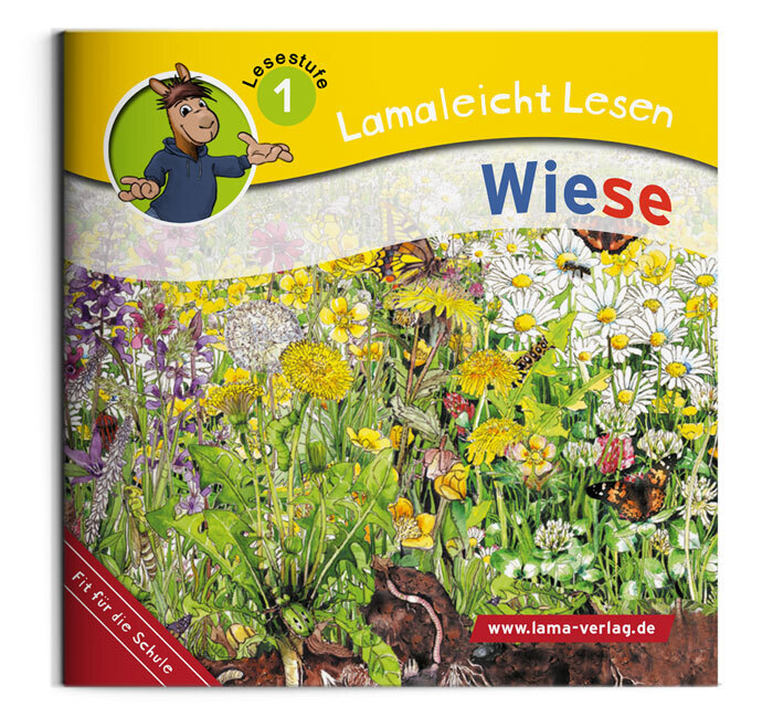 Cover: 9783867517997 | Lamaleicht Lesen | Wiese | Sabrina Kuffer | Broschüre | 24 S. | 2024