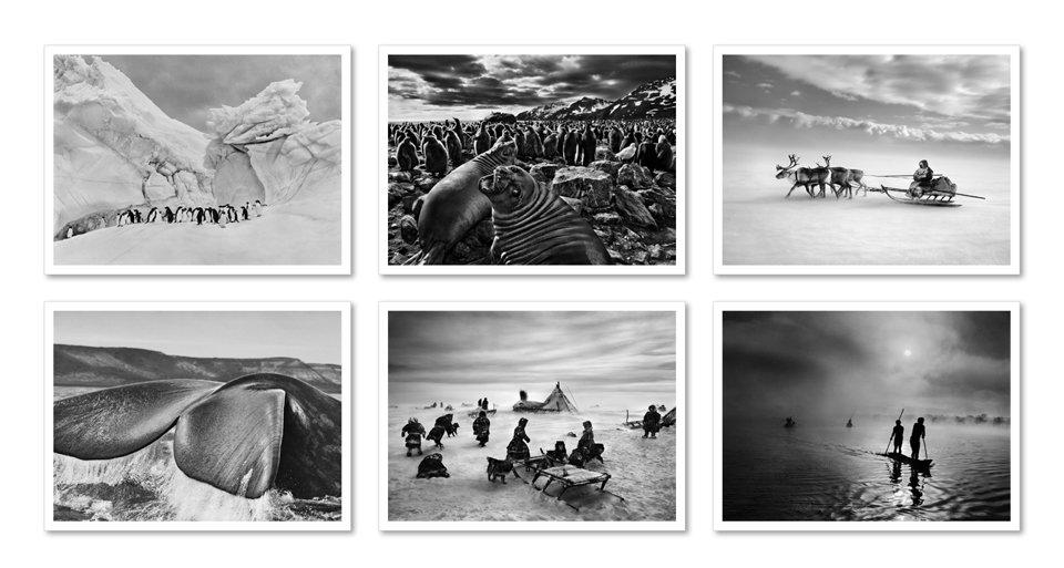 Bild: 9783836548014 | Sebastião Salgado. GENESIS. Postcard Set | Taschenbuch | 50 S. | 2020