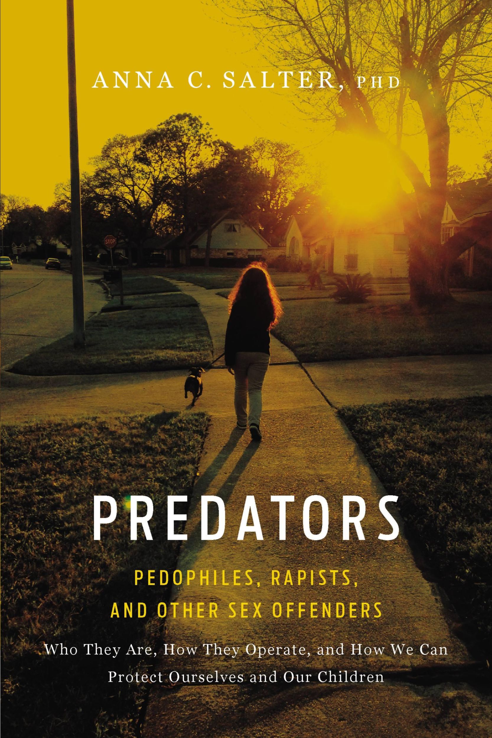 Cover: 9780465071739 | Predators | Pedophiles, Rapists, And Other Sex Offenders | Anna Salter