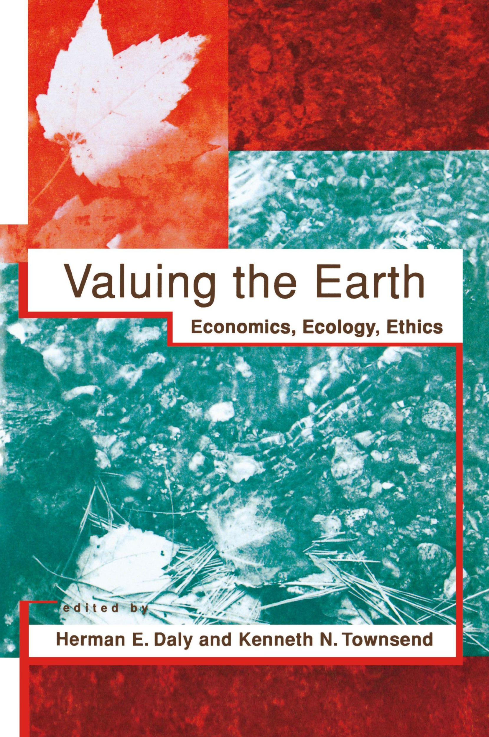 Cover: 9780262540681 | Valuing the Earth, second edition | Economics, Ecology, Ethics | Buch