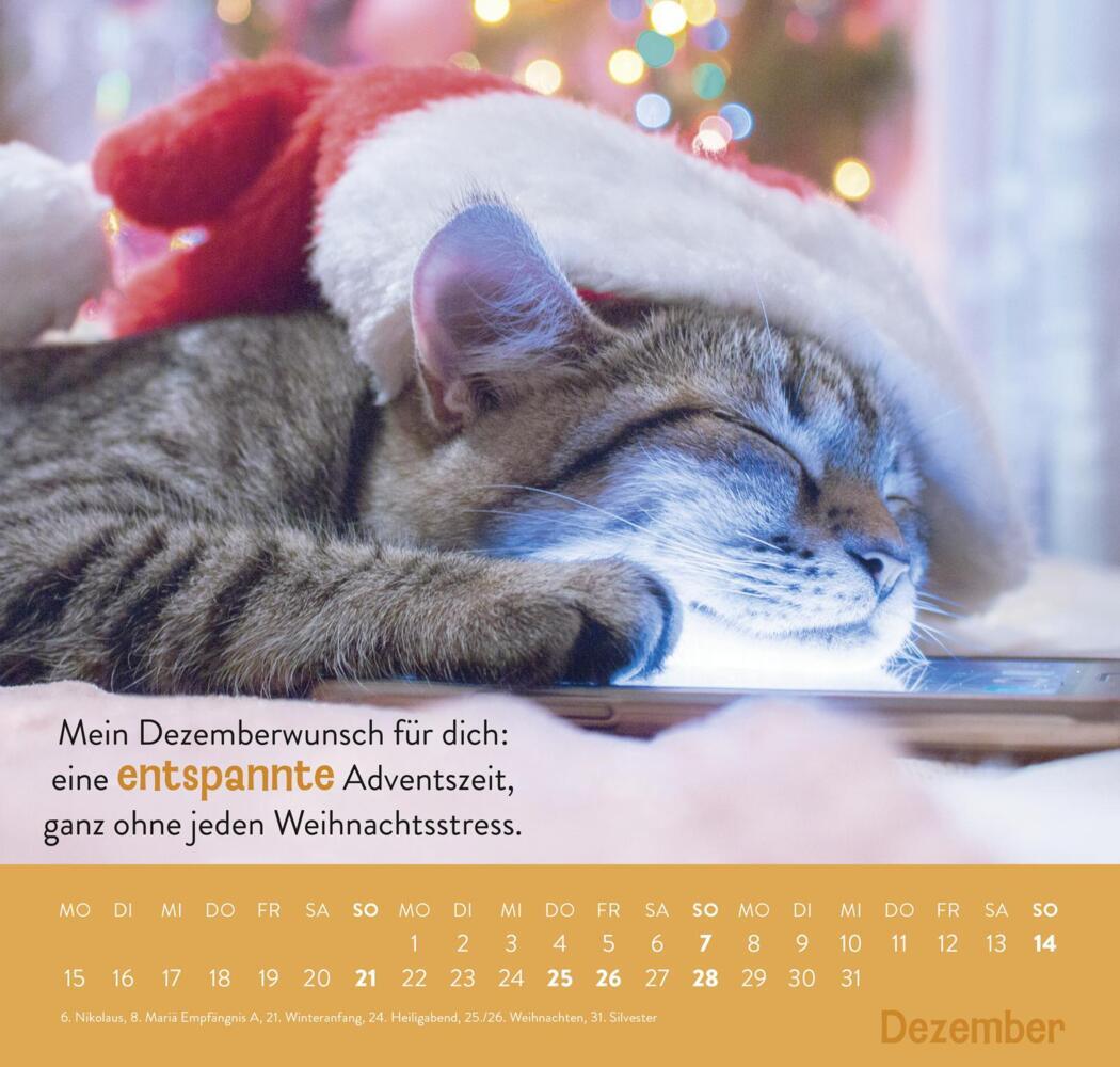 Bild: 4036442011898 | Wandkalender 2025: Einfach mal abhängen | Groh Verlag | Kalender