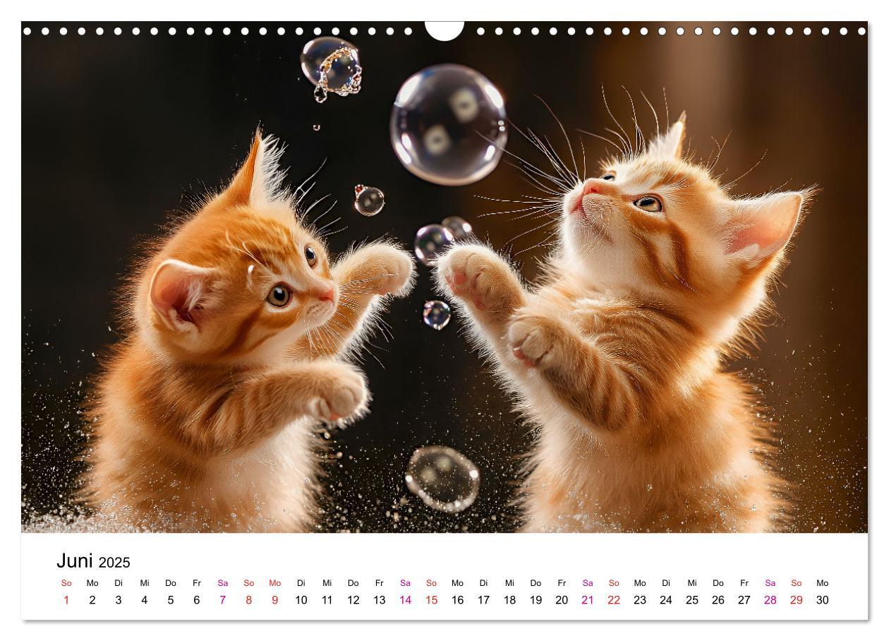 Bild: 9783457218280 | Katzenzauber - Samtpfoten im Jahreslauf (Wandkalender 2025 DIN A3...