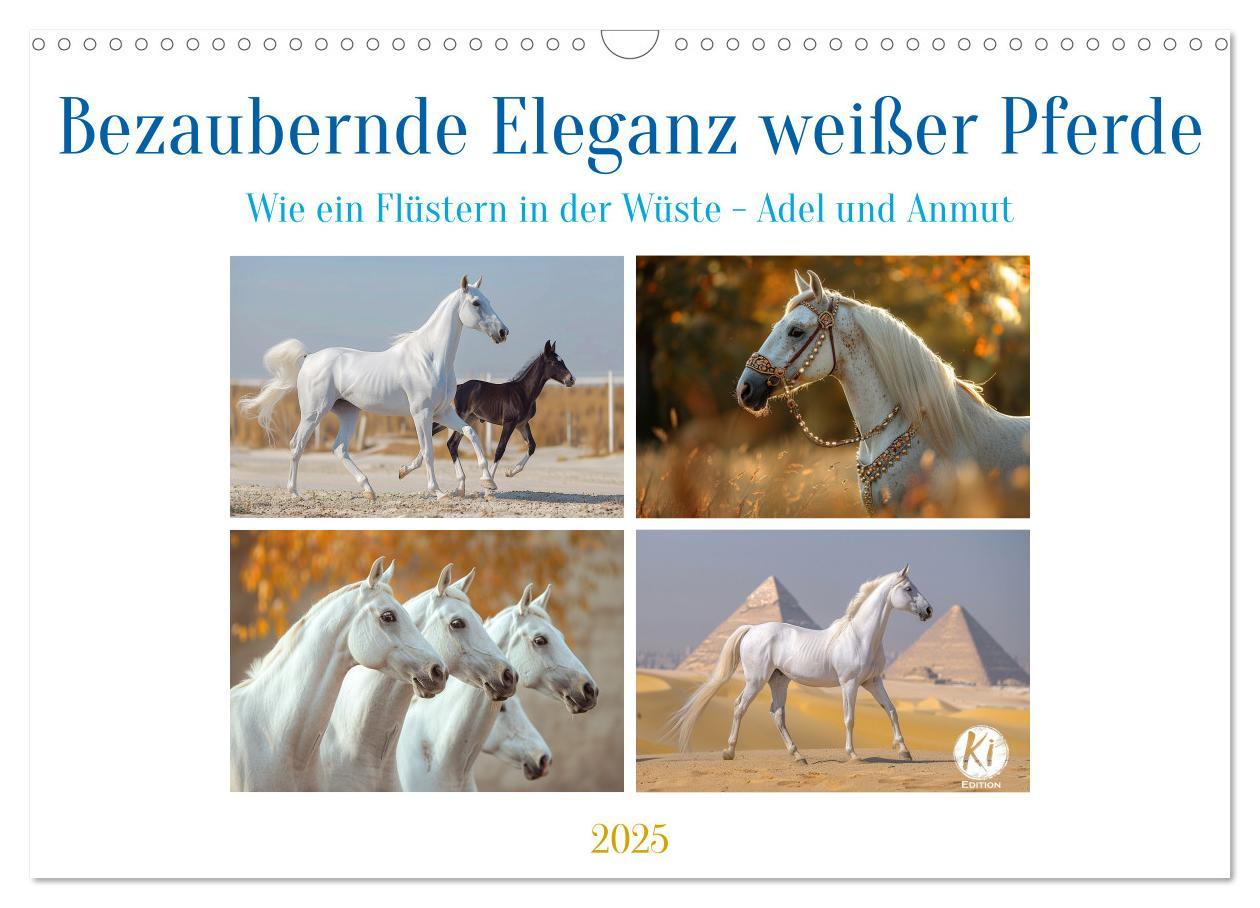 Cover: 9783435517008 | Bezaubernde Eleganz weißer Pferde (Wandkalender 2025 DIN A3 quer),...