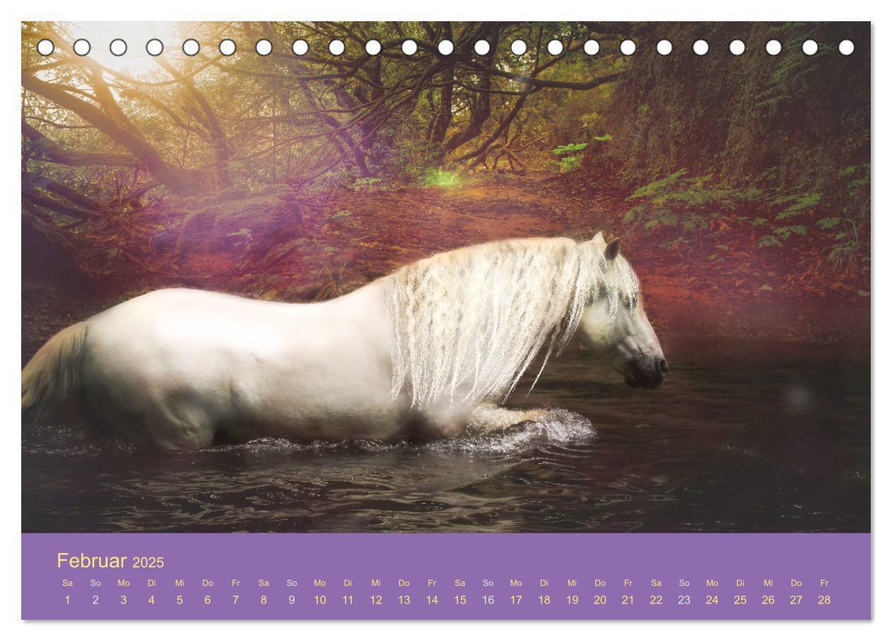 Bild: 9783435061044 | Von der Magie der Pferde (Tischkalender 2025 DIN A5 quer), CALVENDO...