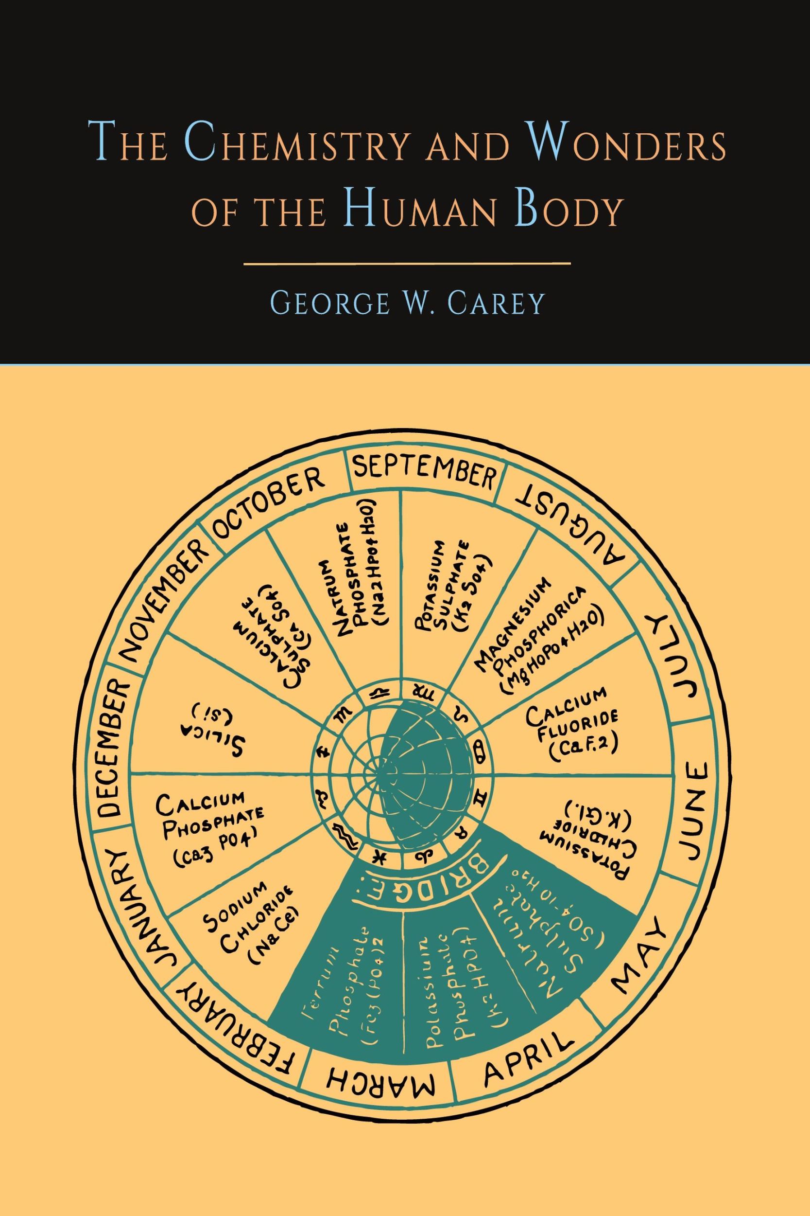 Cover: 9781614275121 | The Chemistry and Wonders of the Human Body | George W. Carey | Buch