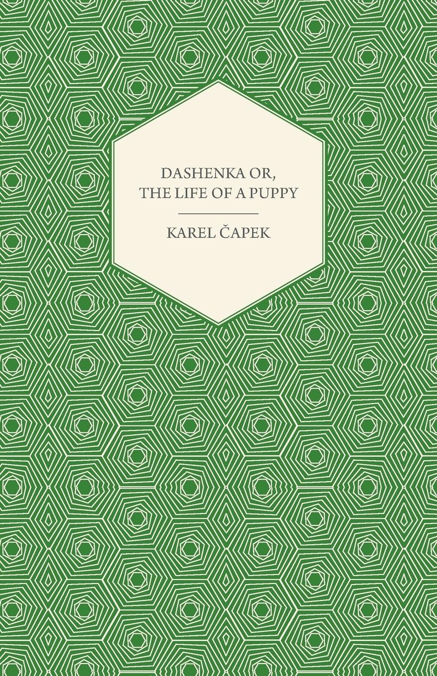 Cover: 9781447422716 | Dashenka - Or, The Life of a Puppy | Karel ¿Apek | Taschenbuch | 2011