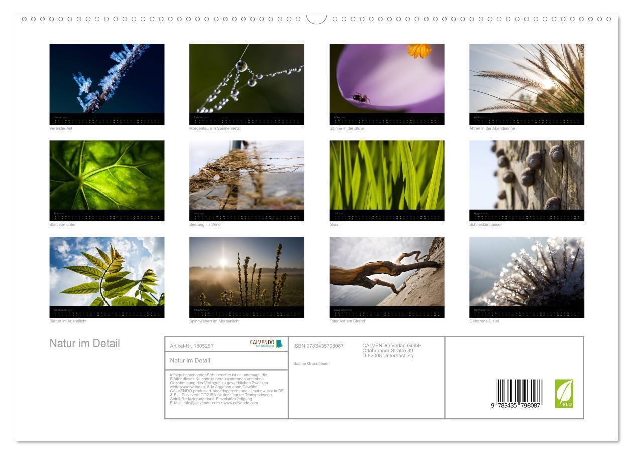 Bild: 9783435798087 | Natur im Detail (hochwertiger Premium Wandkalender 2025 DIN A2...