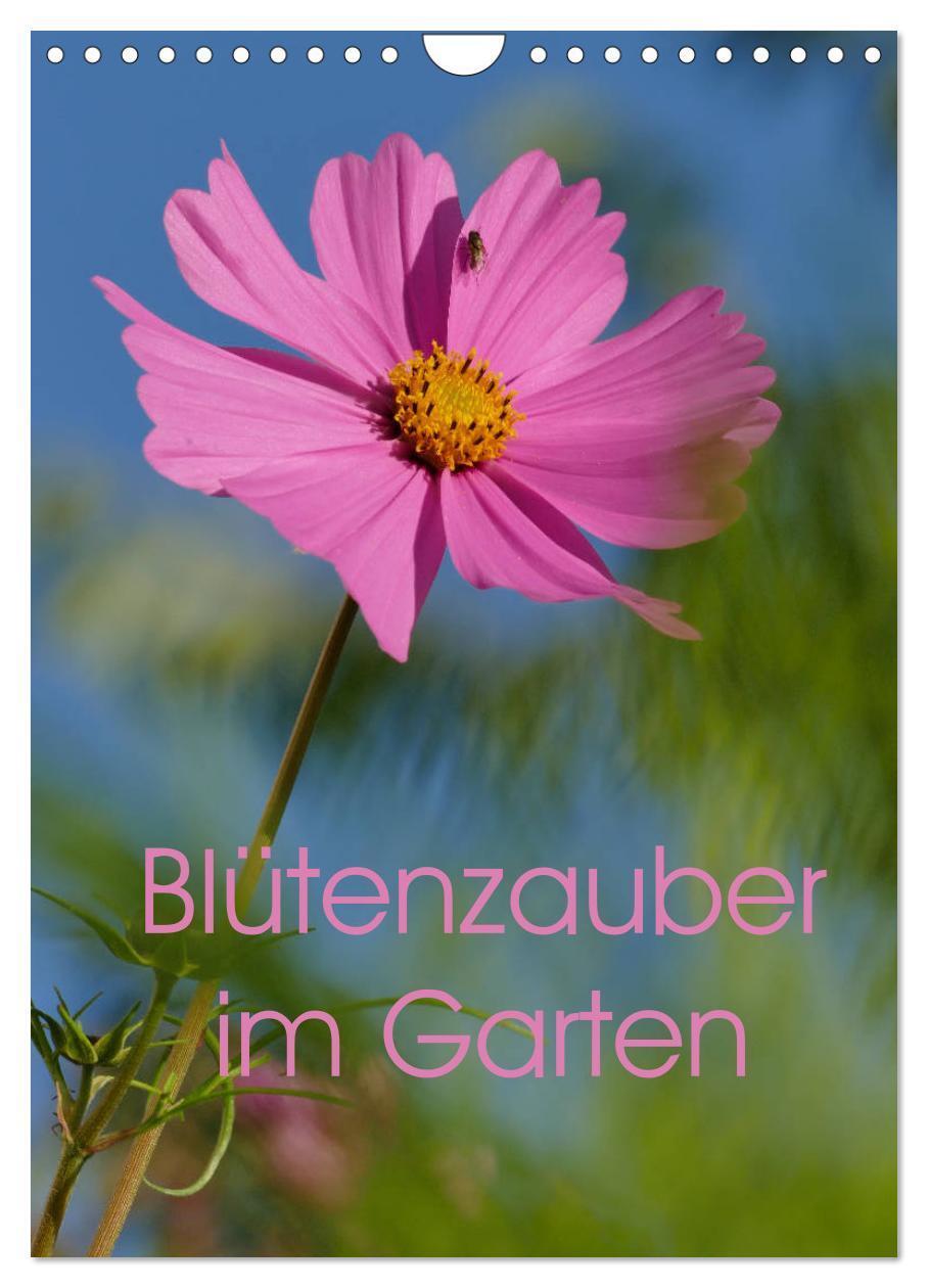 Cover: 9783435936953 | Blütenzauber im Garten (Wandkalender 2025 DIN A4 hoch), CALVENDO...