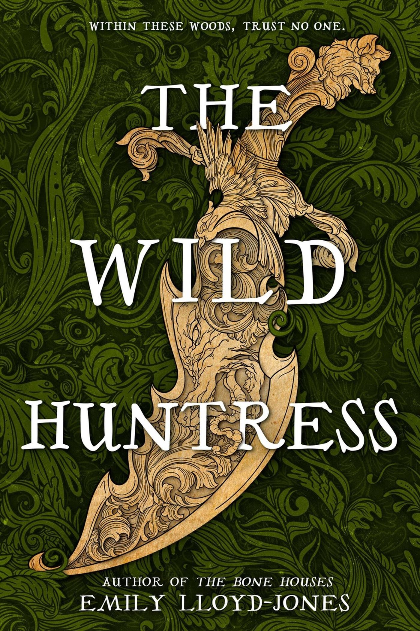 Cover: 9780316568142 | The Wild Huntress | Emily Lloyd-Jones | Buch | Englisch | 2024