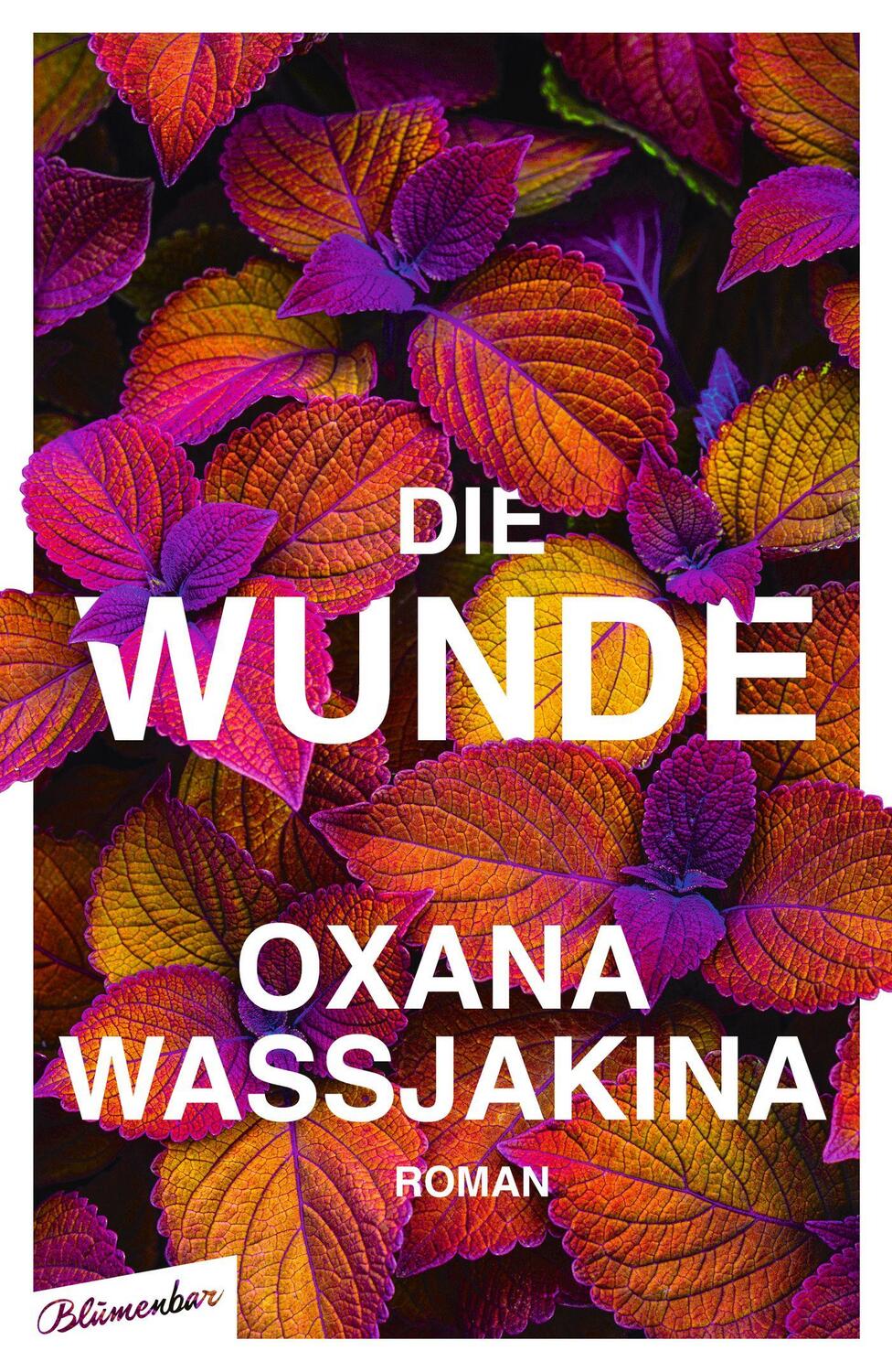 Cover: 9783351051136 | Die Wunde | Roman | Oxana Wassjakina | Buch | Deutsch | 2023