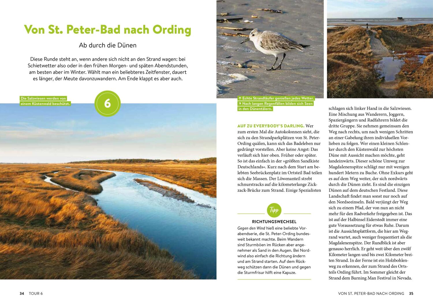 Bild: 9783734325175 | Echt wild - Nordseeküste Schleswig-Holstein | Stefanie Sohr | Buch