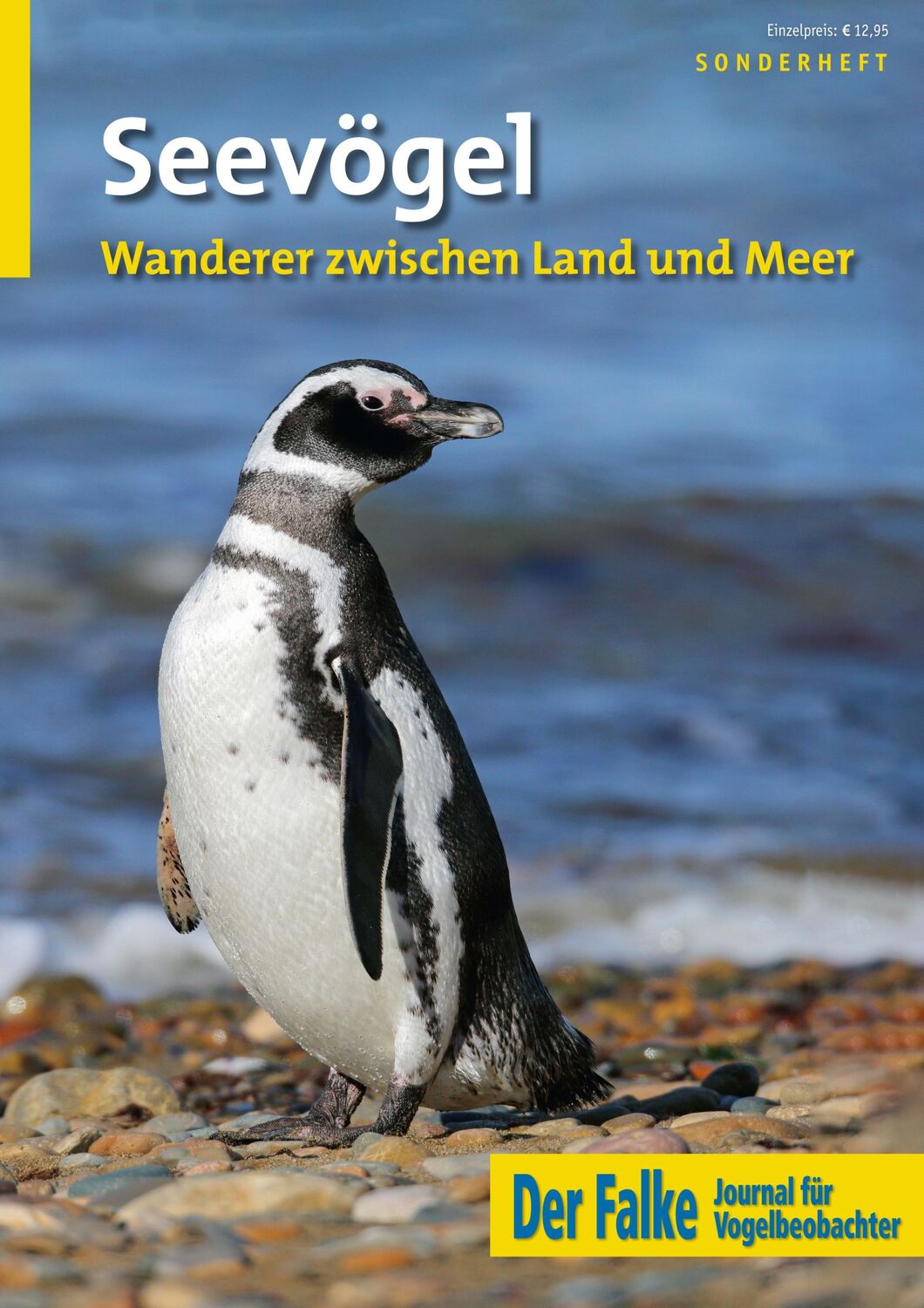 Cover: 9783891048559 | Seevögel | Wanderer zwischen Land und Meer | Ulrike Kubetzki | 56 S.