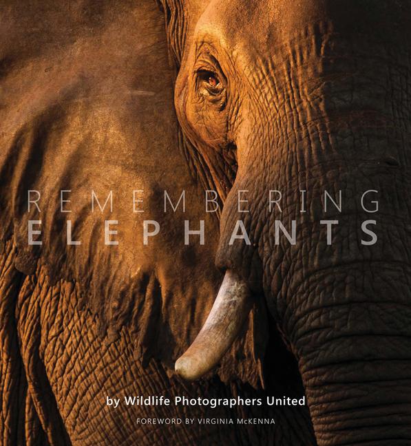 Cover: 9781999643348 | Remembering Elephants | Margot Raggett | Buch | Remembering Wildlife