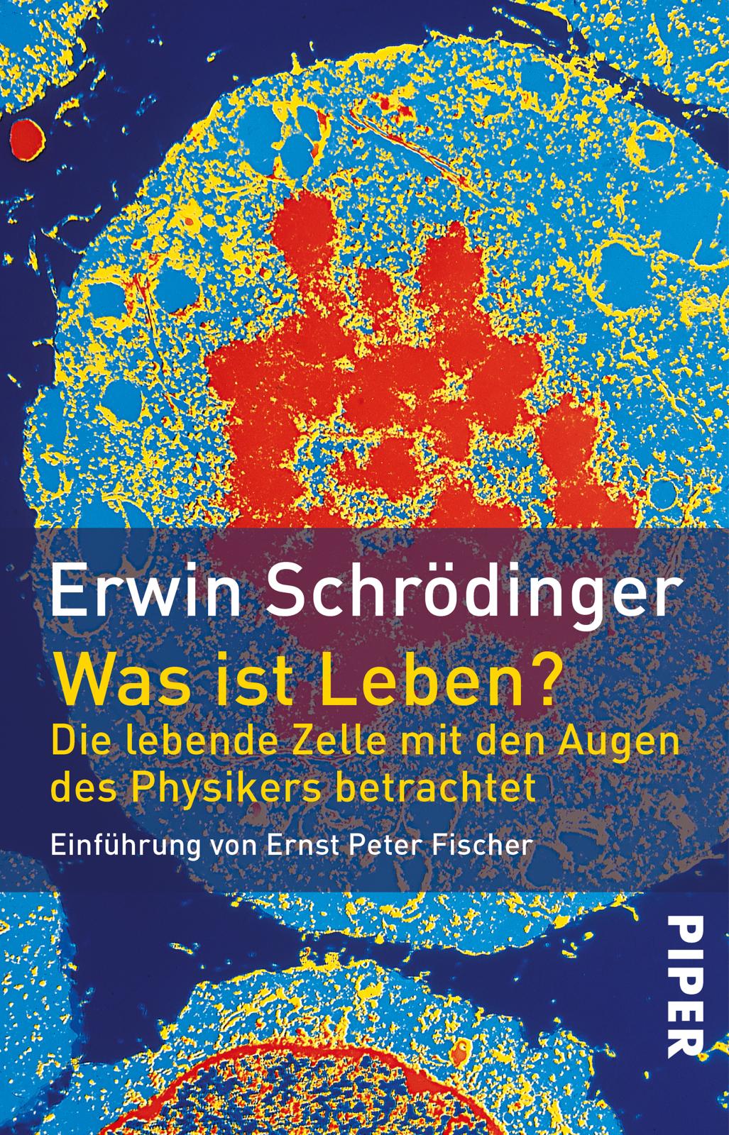 Cover: 9783492211345 | Was ist Leben? | Erwin Schrödinger | Taschenbuch | 160 S. | Deutsch