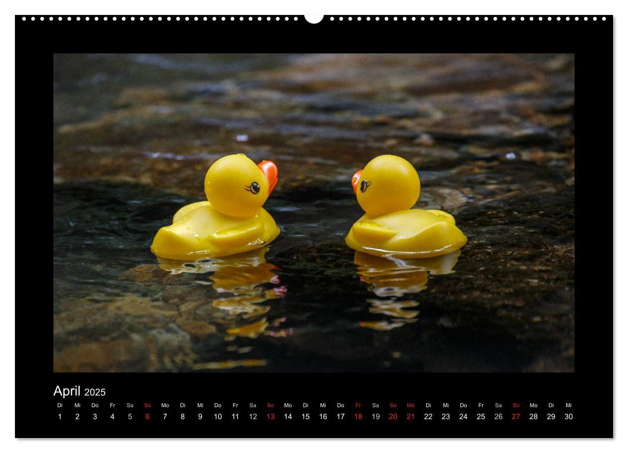 Bild: 9783435691555 | Enten-Rennen (Wandkalender 2025 DIN A2 quer), CALVENDO Monatskalender