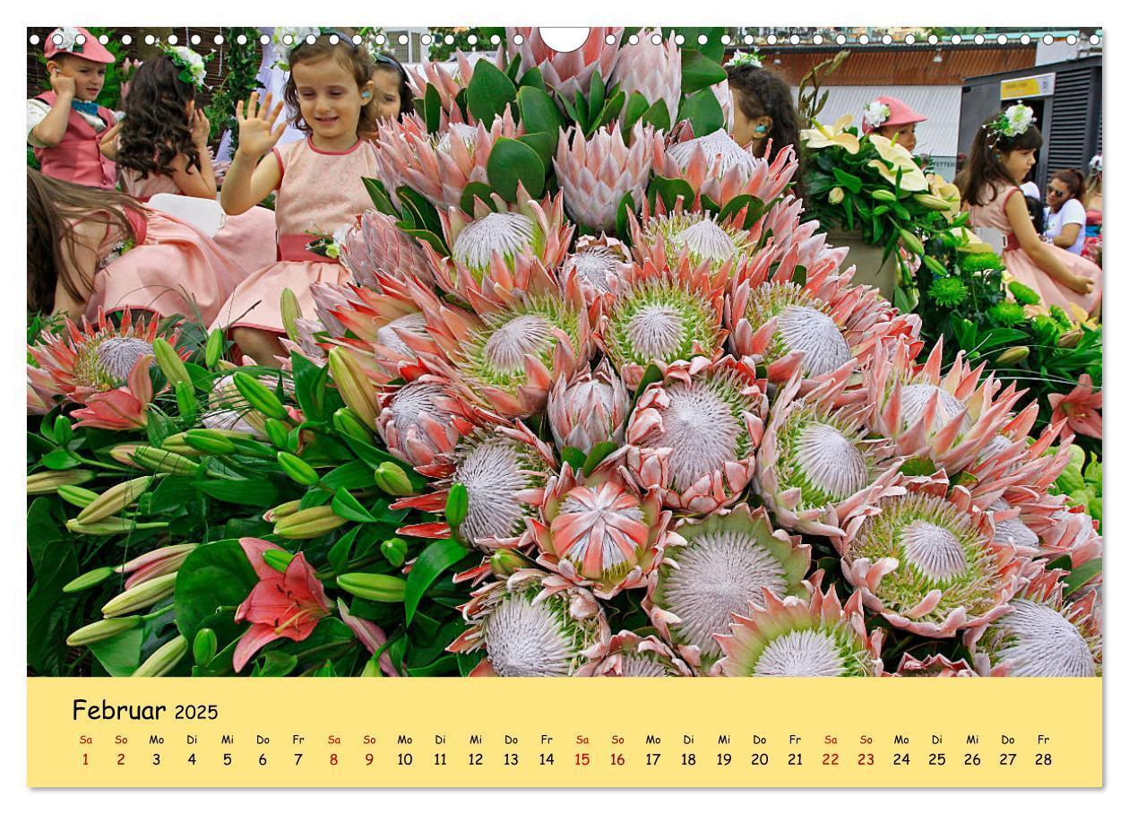 Bild: 9783435457366 | Blumenfest auf Madeira (Wandkalender 2025 DIN A3 quer), CALVENDO...