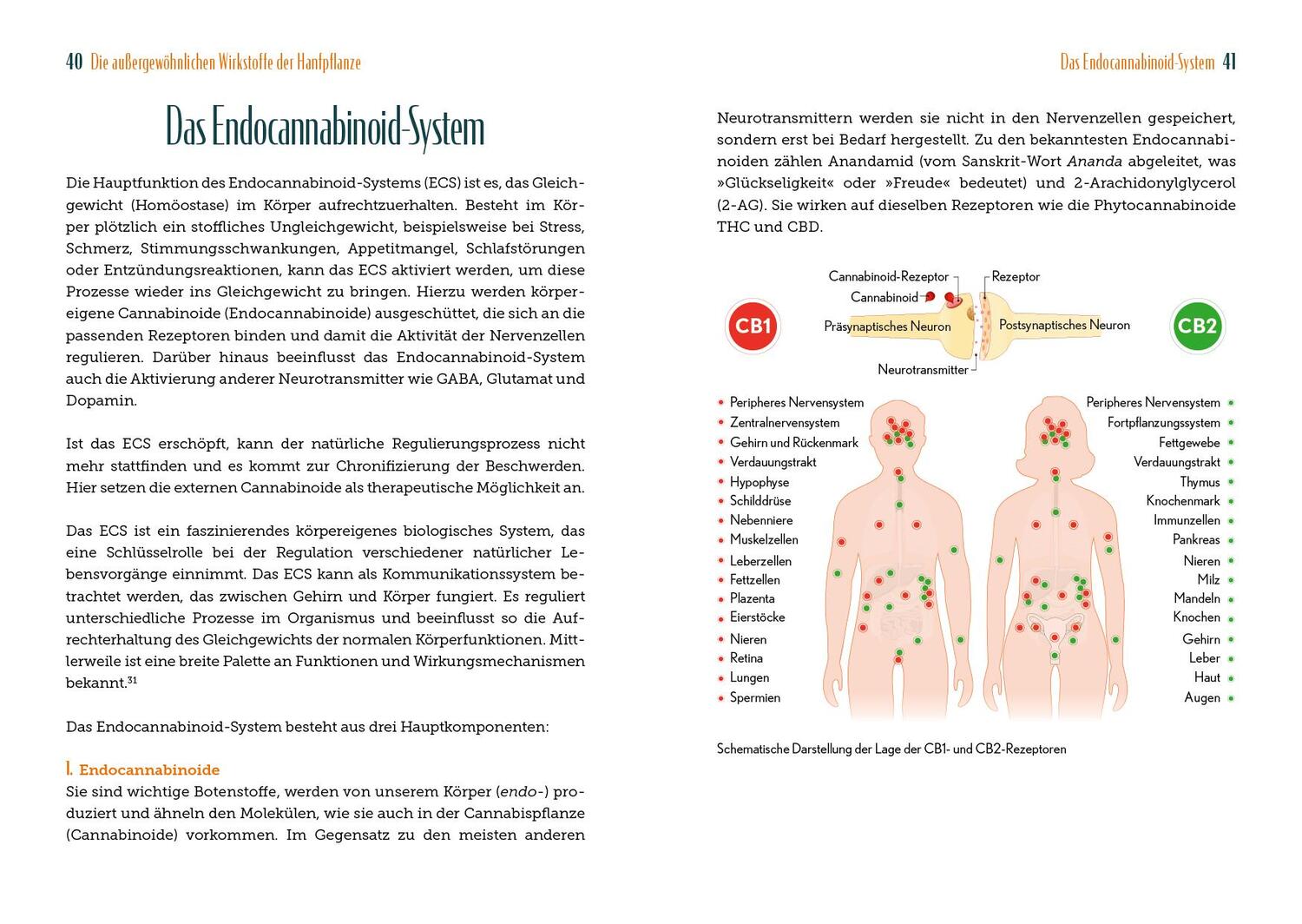 Bild: 9783742326676 | Cannabis - Heilkraft der Natur | Christiane Neubaur (u. a.) | Buch