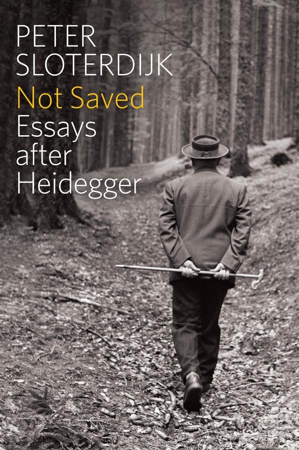 Cover: 9780745696997 | Not Saved | Essays After Heidegger | Peter Sloterdijk | Taschenbuch