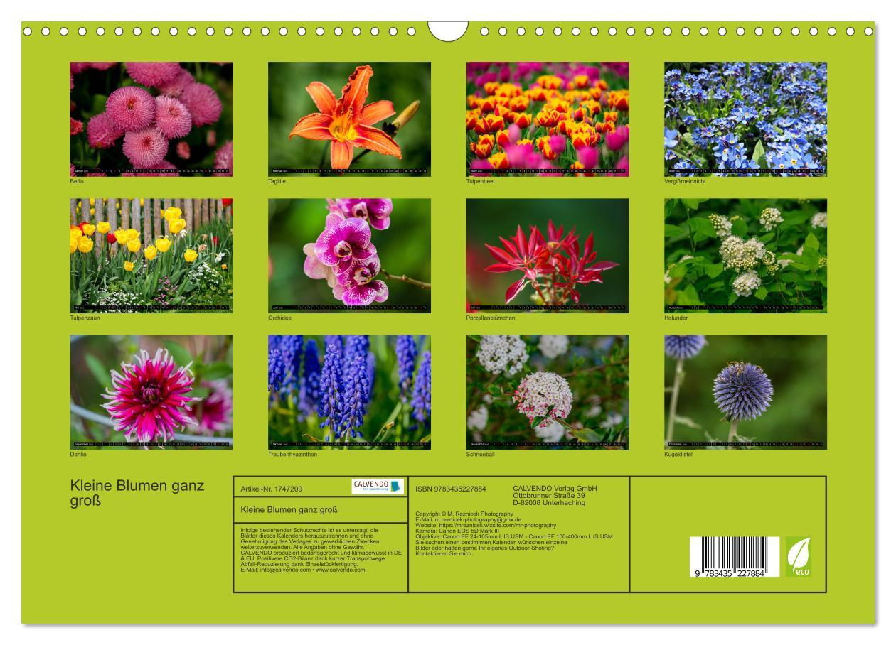 Bild: 9783435227884 | Kleine Blumen ganz groß (Wandkalender 2025 DIN A3 quer), CALVENDO...