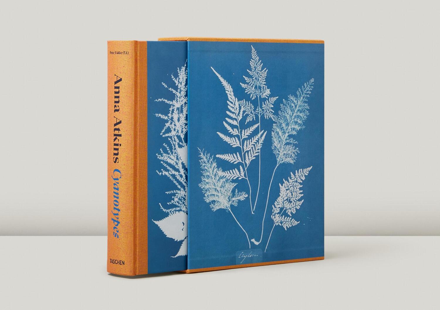 Bild: 9783836596039 | Anna Atkins. Cyanotypes | Peter Walther | Buch | Schuber | 660 S.