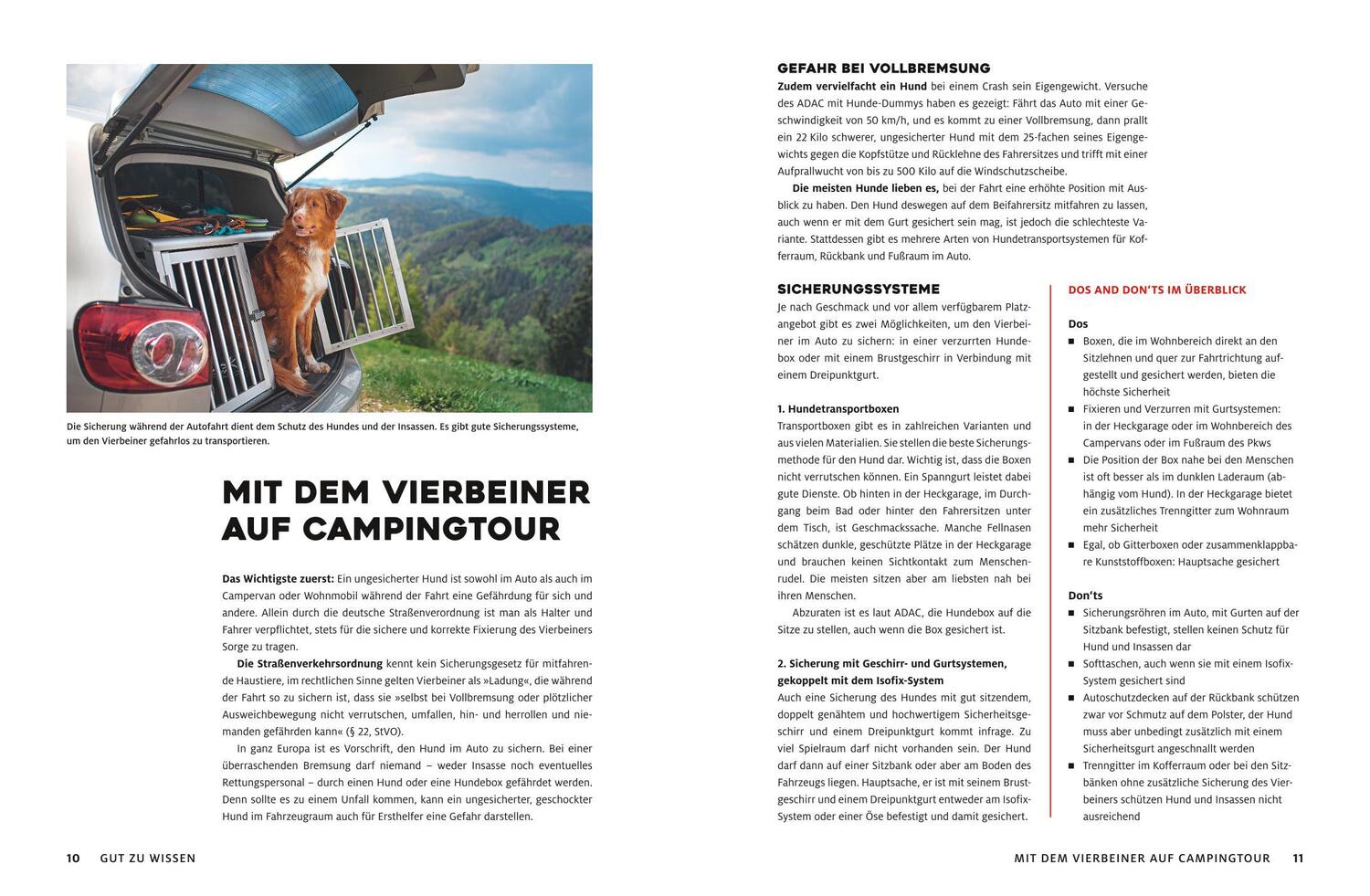 Bild: 9783986451349 | Yes we camp! Camping mit Hund | Andrea Lammert (u. a.) | Taschenbuch