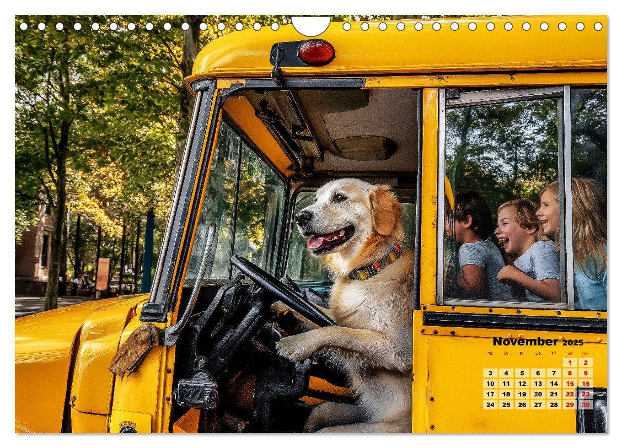 Bild: 9783457211748 | Süße Hunde cruisen - durch das Jahr mit dem Hundekalender...