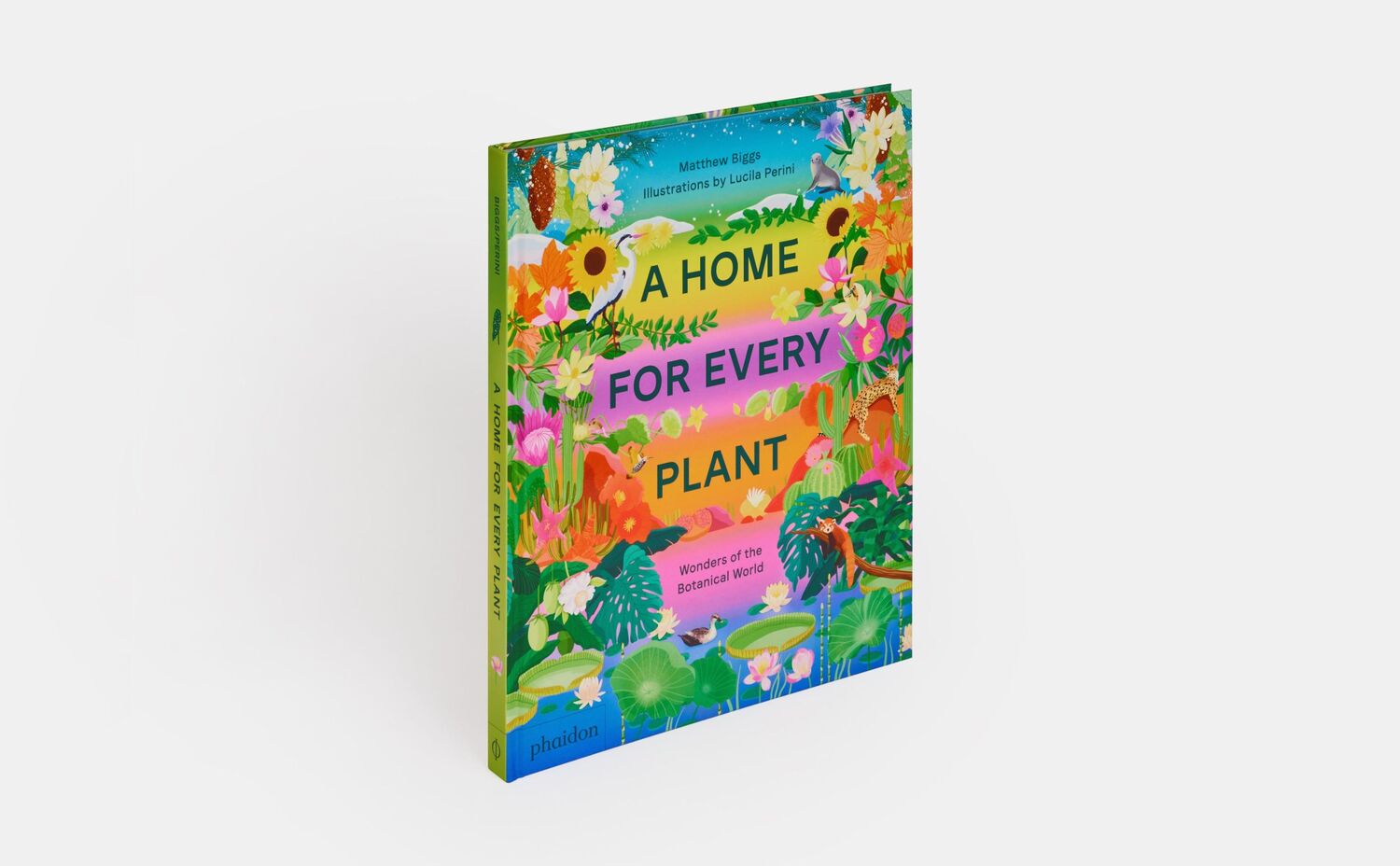 Bild: 9781838665937 | A Home for Every Plant | Wonders of the Botanical World | Biggs | Buch