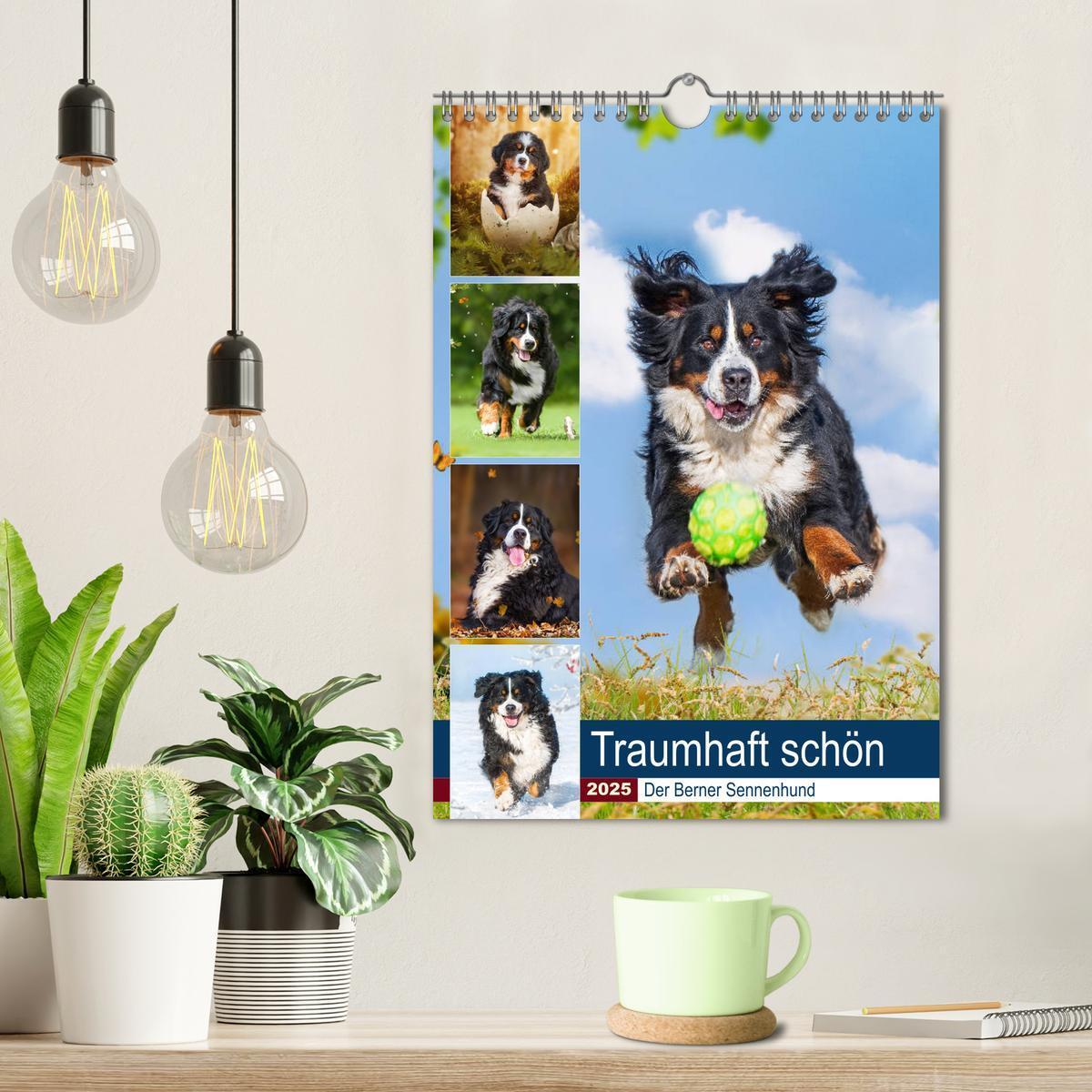 Bild: 9783435938315 | Traumhaft schön - Der Berner Sennenhund (Wandkalender 2025 DIN A4...