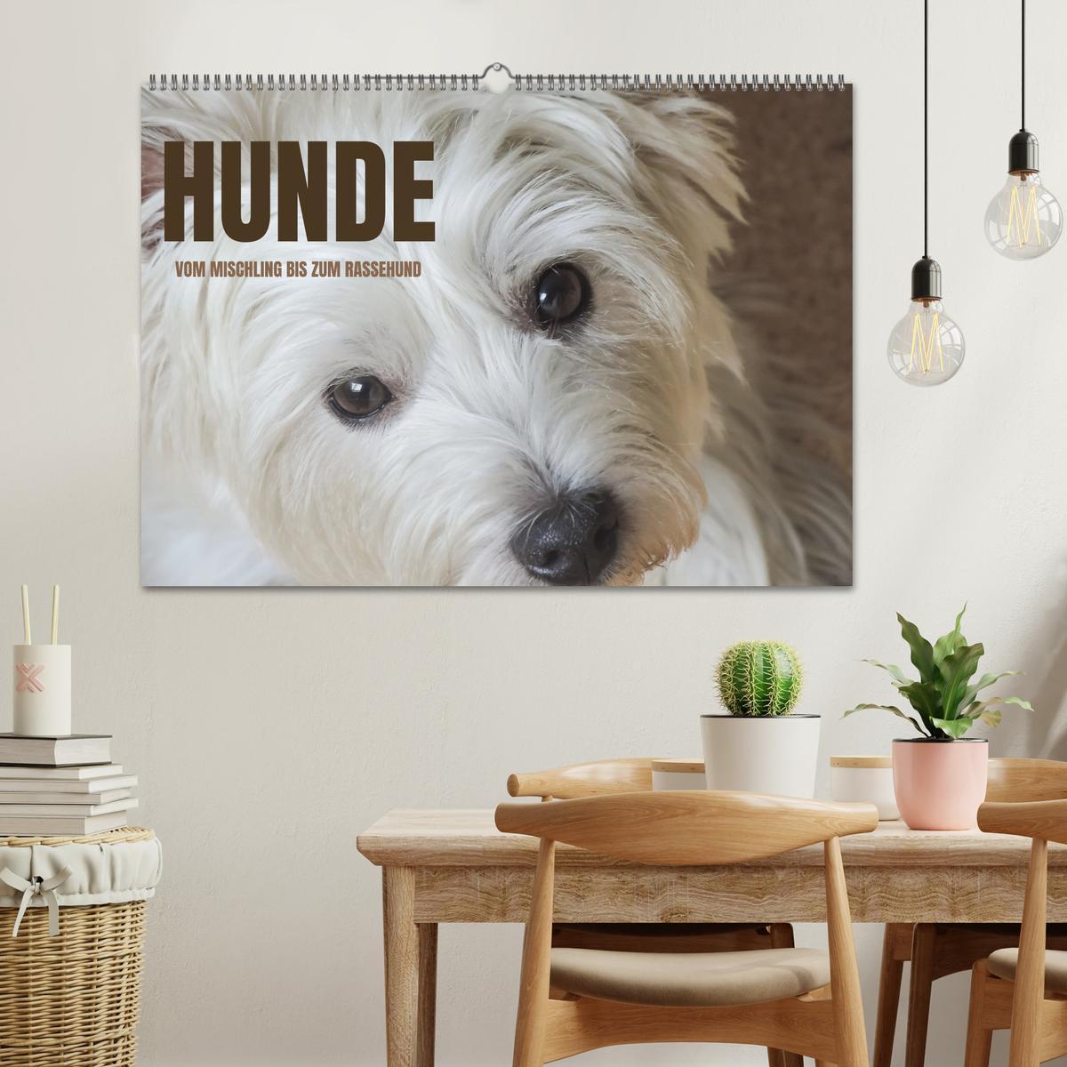 Bild: 9783383908224 | Hunde - vom Mischling bis zum Rassehund (Wandkalender 2025 DIN A2...