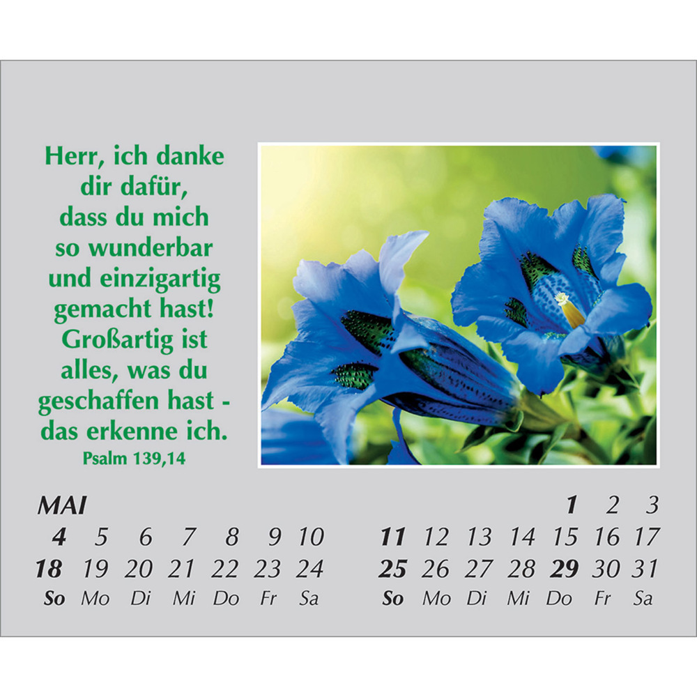 Bild: 9783754861059 | Freude für jeden Tag 2025 | Kalender | Spiralbindung. Spiralbindung