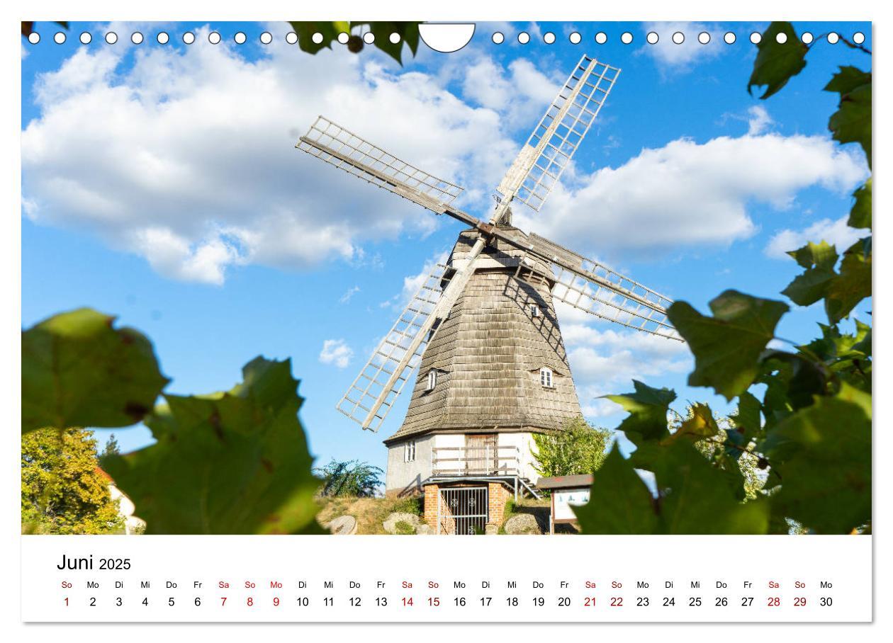 Bild: 9783435271405 | Altmarkliebe (Wandkalender 2025 DIN A4 quer), CALVENDO Monatskalender