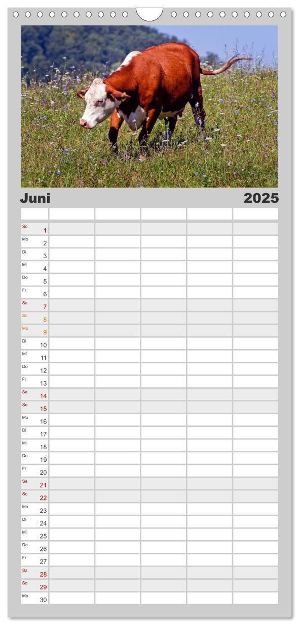 Bild: 9783457104378 | Familienplaner 2025 - Kuh und Co. mit 5 Spalten (Wandkalender, 21 x...