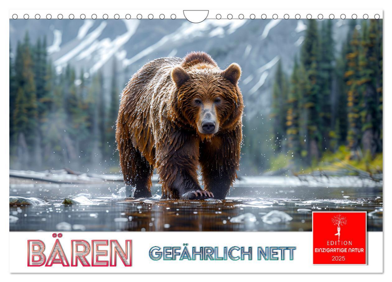 Cover: 9783457170434 | Bären - gefährlich nett (Wandkalender 2025 DIN A4 quer), CALVENDO...