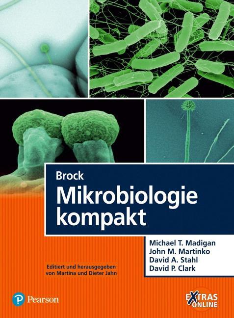 Cover: 9783868942606 | Brock Mikrobiologie kompakt | Michael T. Madigan (u. a.) | Taschenbuch