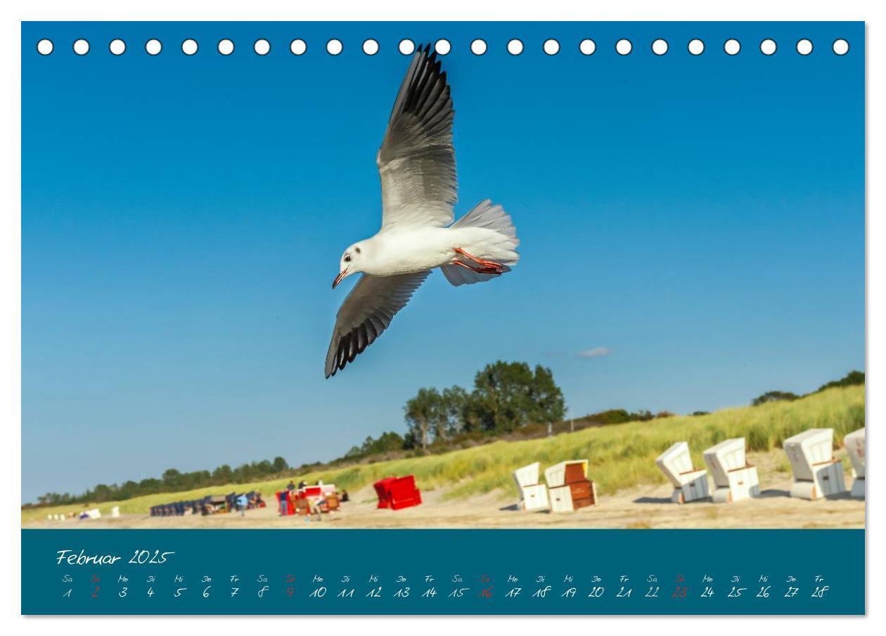 Bild: 9783435649167 | Blick auf die Halbinsel Fischland, Darß und Zingst (Tischkalender...