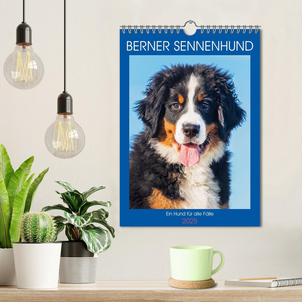 Bild: 9783457159149 | Berner Sennenhund - Ein Hund für alle Fälle (Wandkalender 2025 DIN...