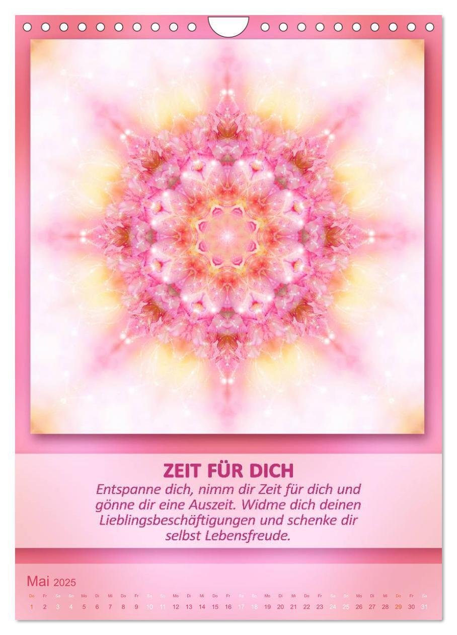 Bild: 9783457060971 | Light Energy Mandalas - Kalender - Vol. 2 (Wandkalender 2025 DIN A4...