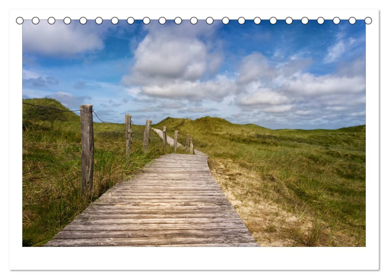 Bild: 9783435803002 | Impressionen der Nordseeinsel Amrum (Tischkalender 2025 DIN A5...